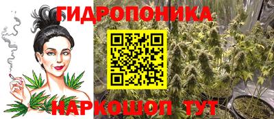 прущие крисы Малгобек