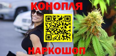 прущие крисы Малгобек