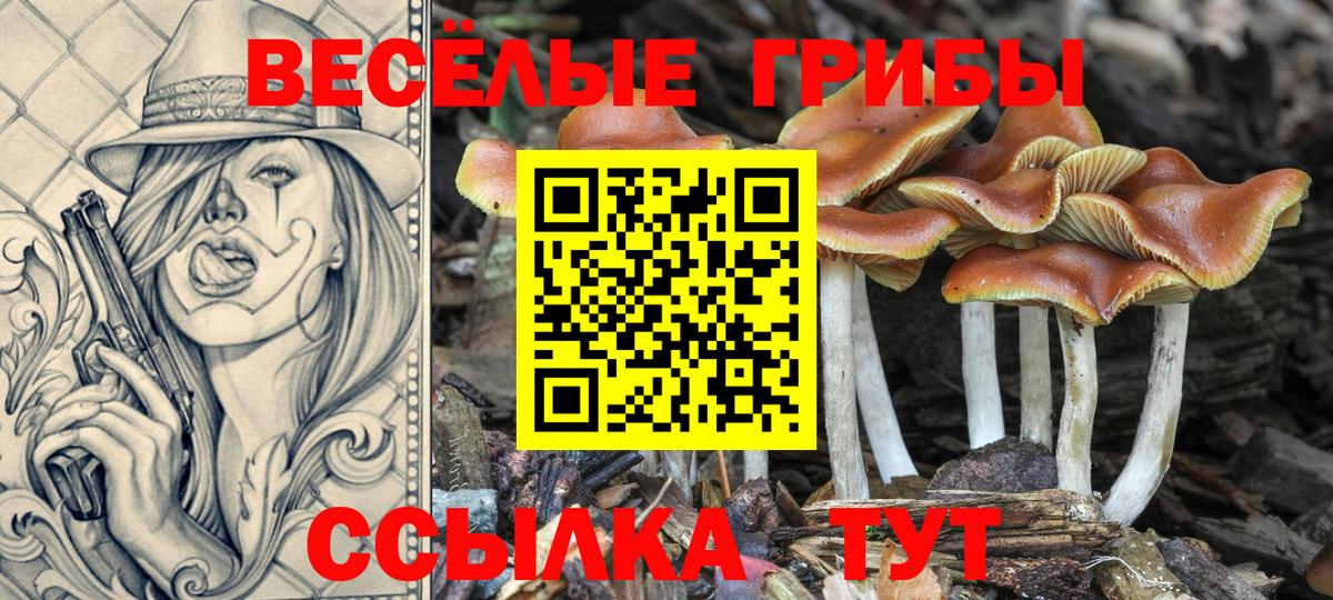 Электрогорск  Псилоцибиновые грибы Cubensis  Псилоцибиновые грибы прущие грибы  Вход с VPN 